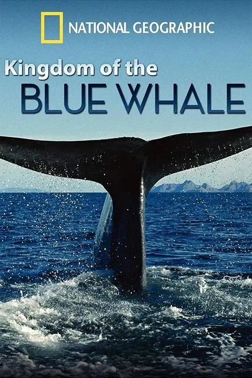 Kingdom of the Blue Whale