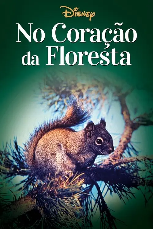 No Coração da Floresta