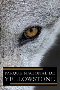 Parque Nacional de Yellowstone